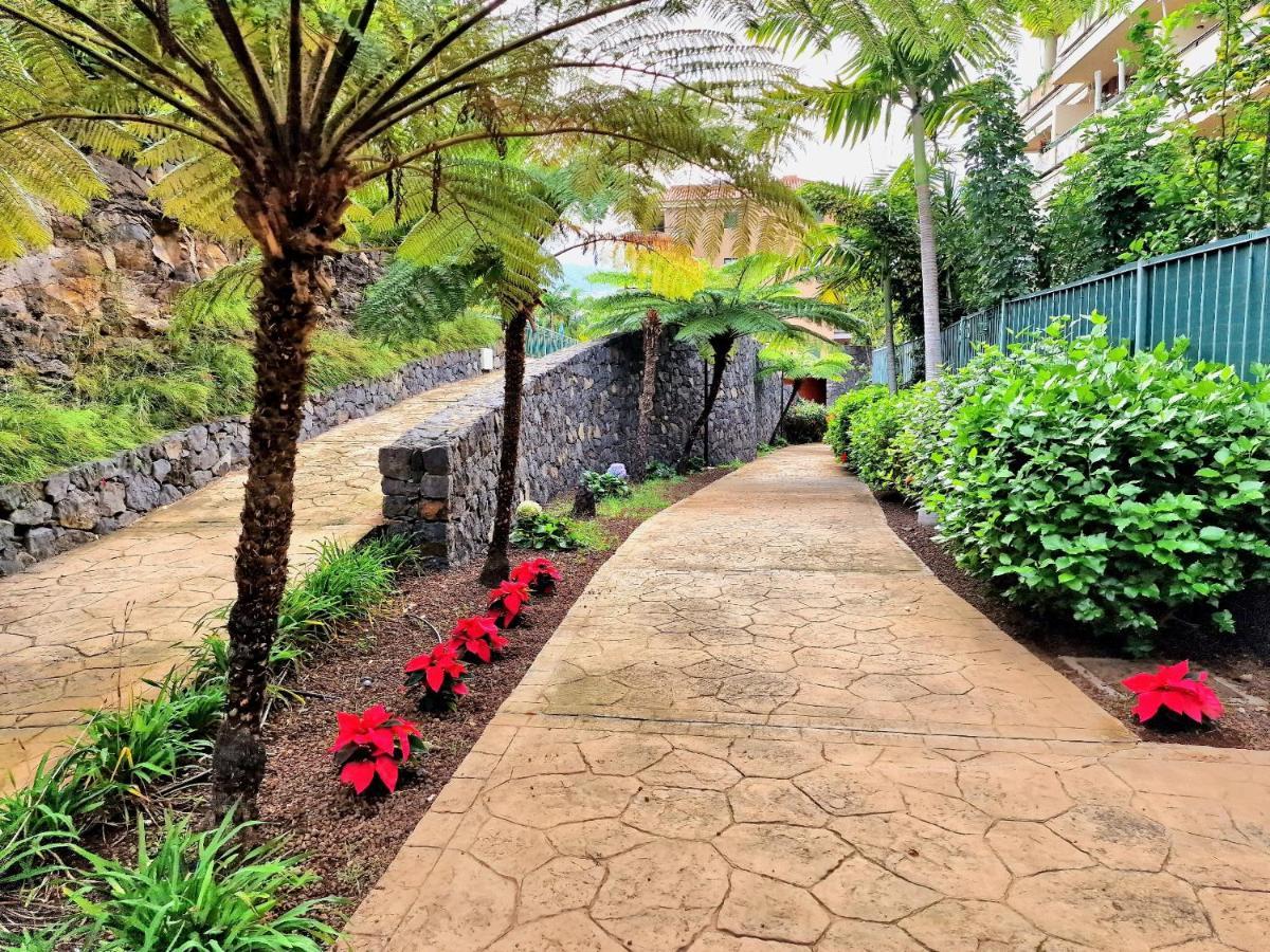 Durazno Tropical Apartment Puerto De La Cruz Экстерьер фото